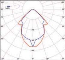  ������ ���� �����